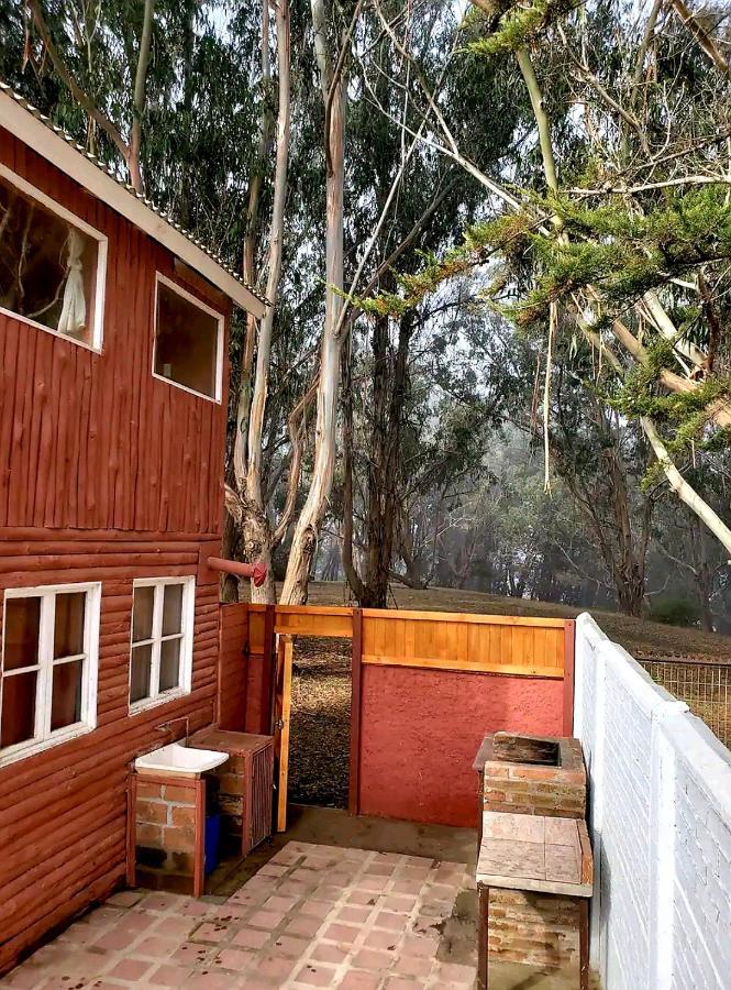 Cabana Con Tinaja Caliente, Quincho Y Pet Friendly Isla Negra Exteriör bild